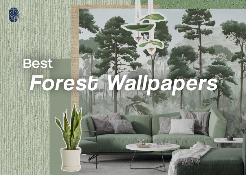 Enchanting Woodlands : 10 Best Forest Wallpapers for Your Home