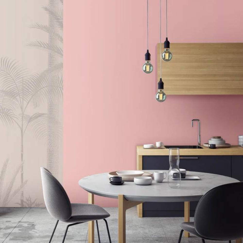 pink Living room paint ideas
