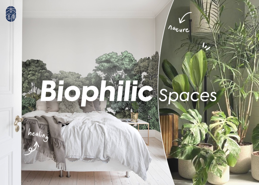 biophilic spaces