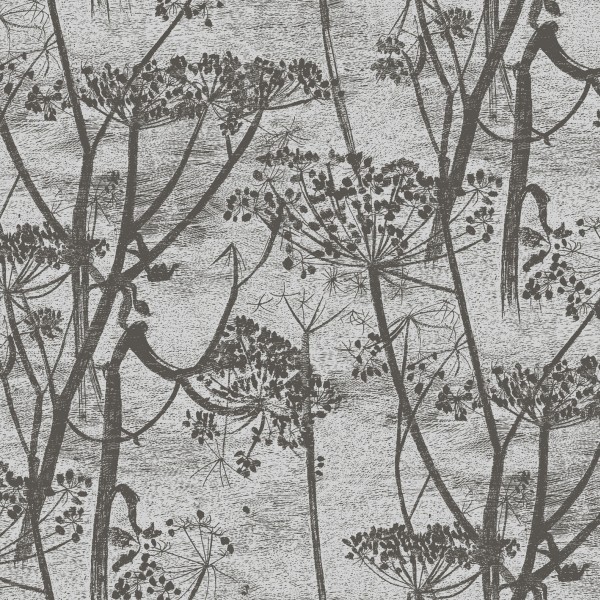 Cole & Son / Contemporary Restyled / Cow Parsley 95-9050