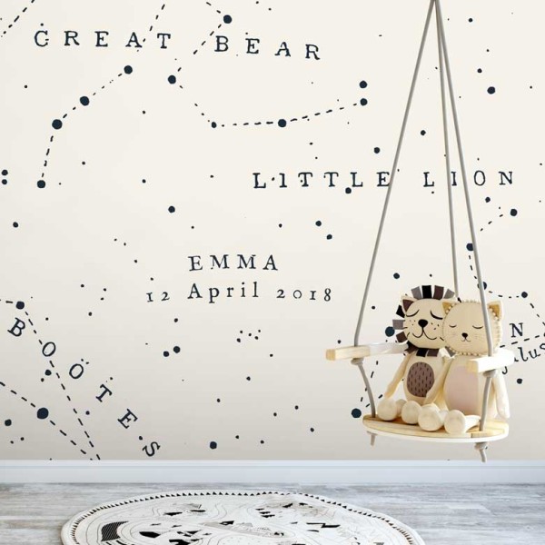 Great Bear Little Lion | FE04101