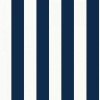 Graham & Brown / INDIVIDUAL / Navy Stripe 108557