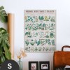 Hattan Art Poster botanical: economically uses of plants / HP-00017