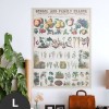 Hattan Art Poster Botanical: economically uses of plants / HP-00018