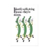 Hattan Art Poster Identify with string beans / HP-00082