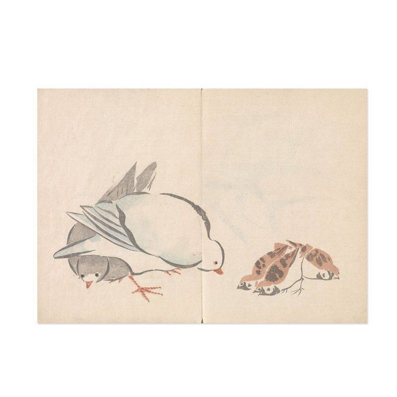 Hattan Art Poster Korin Art Poster Dove and Sparrow / HP-00143