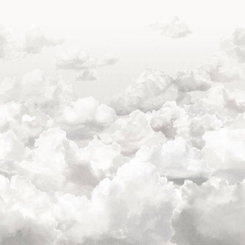 HOHENBERGER | 26784 | CLOUDS STONE GREY