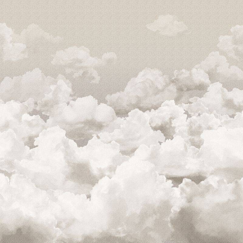 HOHENBERGER | 26783 | CLOUDS TAUPE GREY