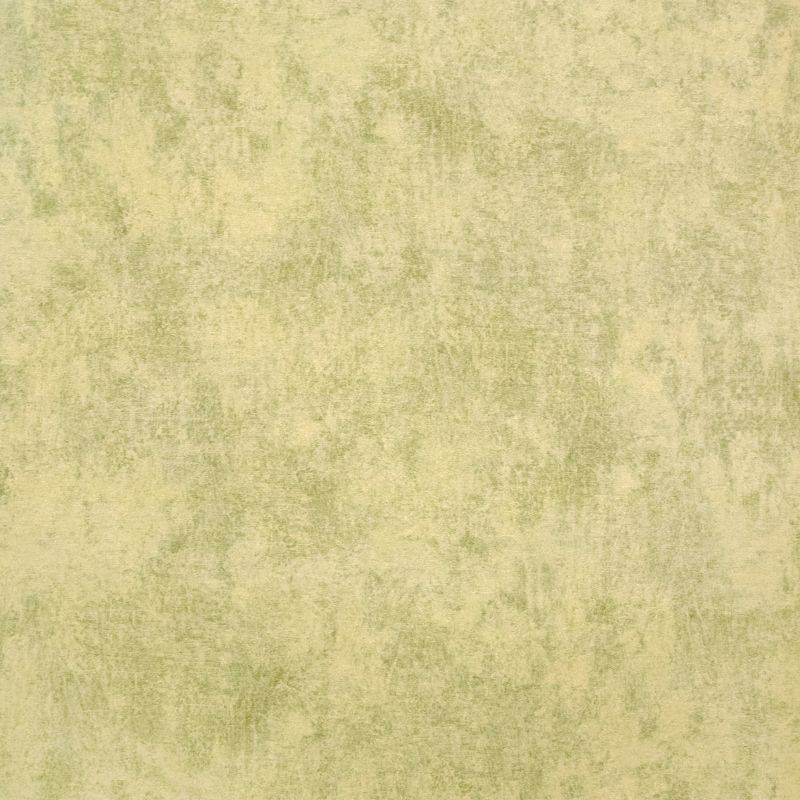 HOHENBERGER | 26944 | MONSTERA PLAIN LIME