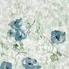 HOHENBERGER | 26965 | PETUNIA TWIN WALL STEEL BLUE SAGE