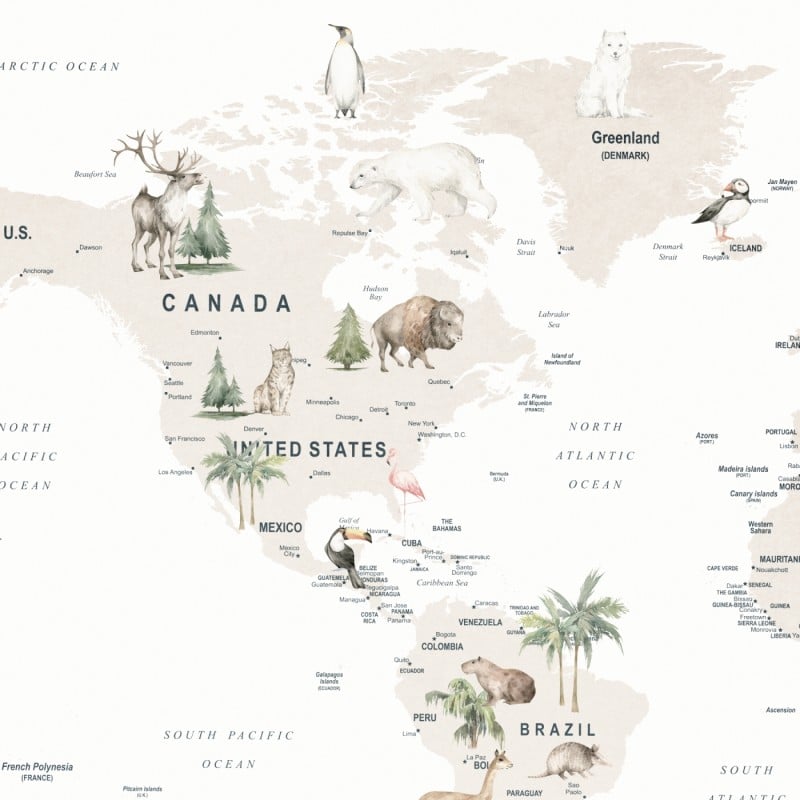 Honpo | Wildlife Map | HO-0089