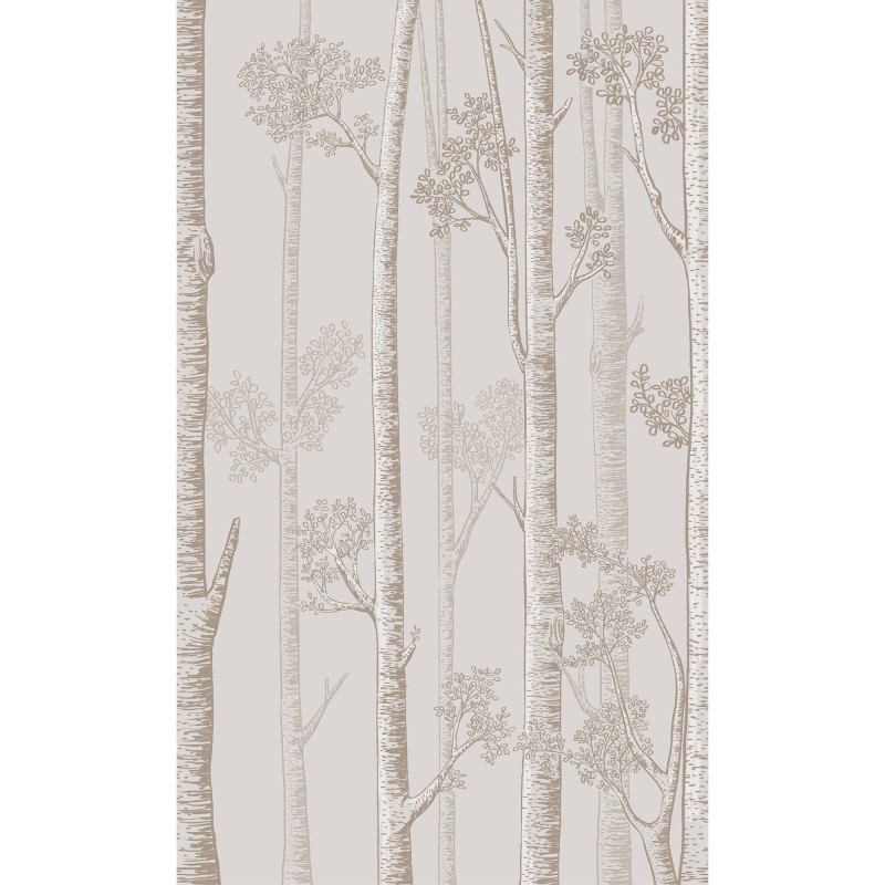 Honpo | Silver Birch Trees | HO-005