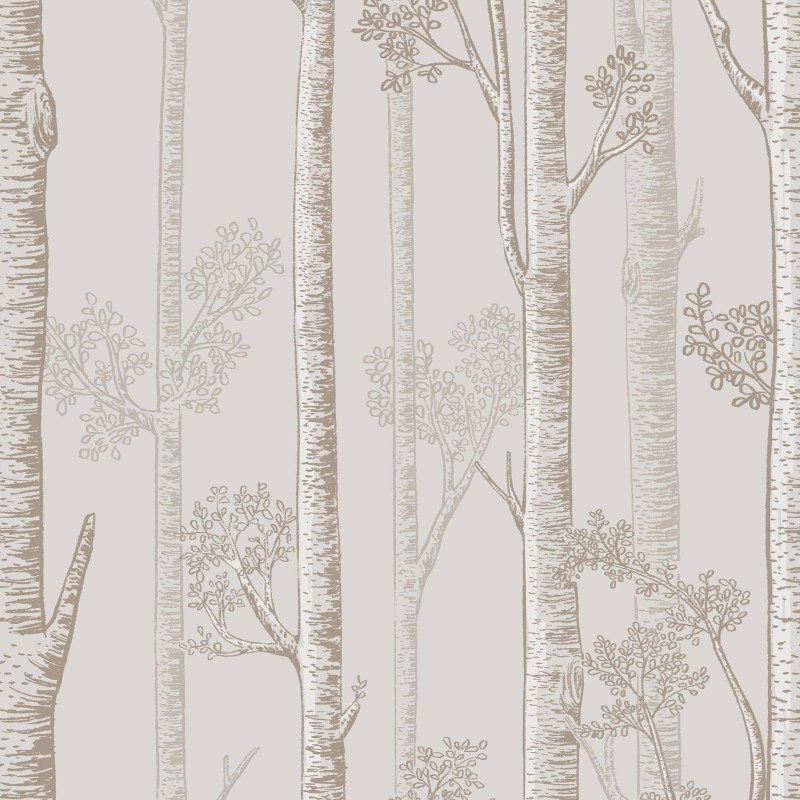 Honpo | Silver Birch Trees | HO-005