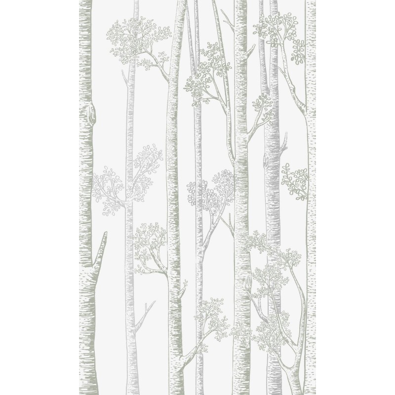 Honpo | Silver Birch Trees | HO-005