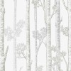 Honpo | Silver Birch Trees | HO-005