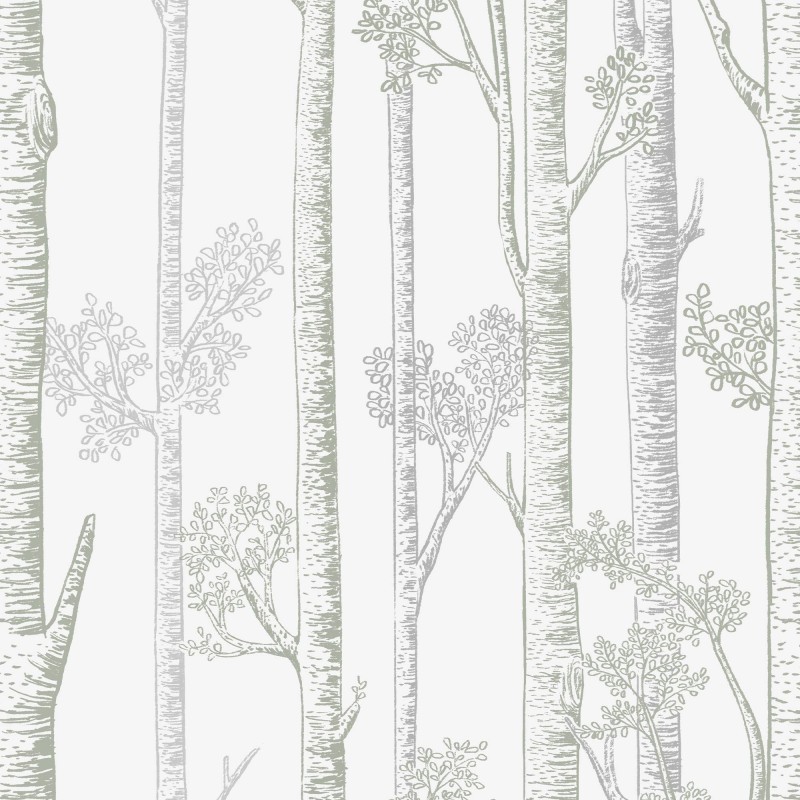 Honpo | Silver Birch Trees | HO-005