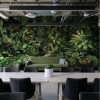 KOZIEL | Urban jungle at dusk panoramic wall mural | LPV016-X