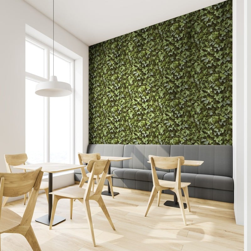 KOZIEL | Ivy Wall | 8888-401