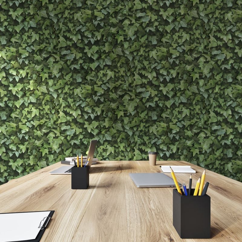 KOZIEL | Ivy Wall | 8888-401