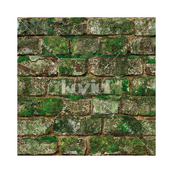 KOZIEL | Old Mossy Bricks | 8888-44