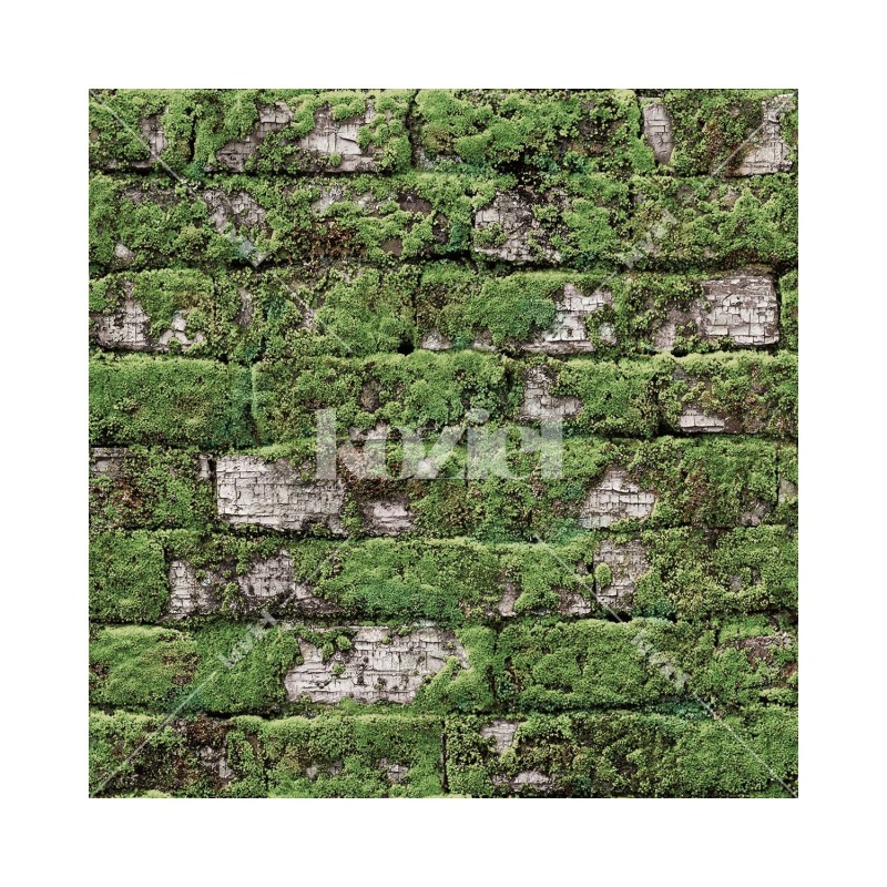 KOZIEL | Old Mossy White Bricks | 8888-45