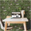 KOZIEL | Old Mossy White Bricks | 8888-45