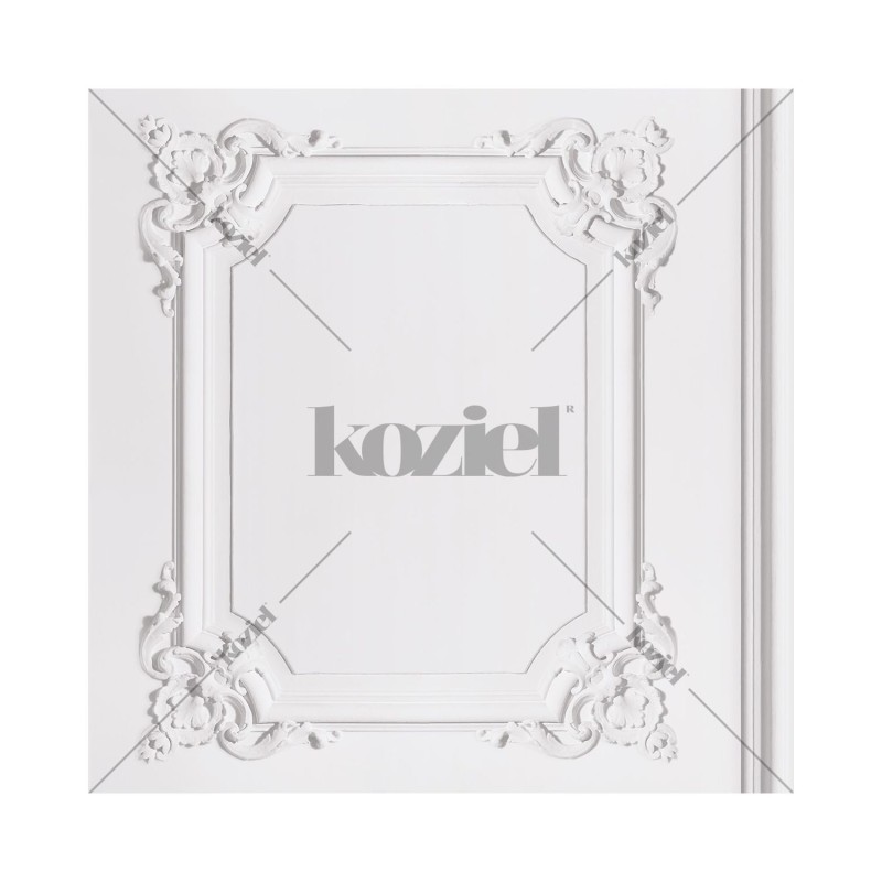 KOZIEL | Greyish White Louis XV Panelling | 8888-301