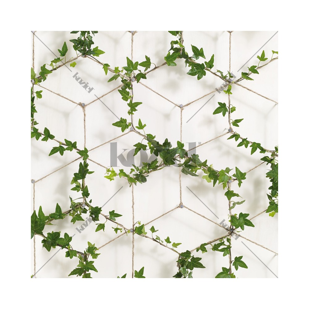 KOZIEL / Ivy on Ropes Wallpaper / 8888-408ECO