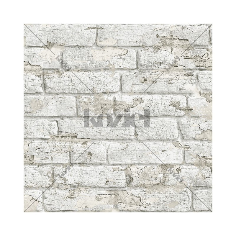 KOZIEL | Antique Painted Bricks - White | 8888-47