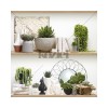 8888-850 | Cactus Shelves Single Strip 