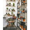 8888-850 | Cactus Shelves Single Strip 