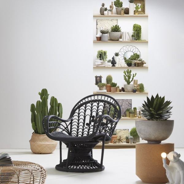 8888-850 | Cactus Shelves Single Strip 