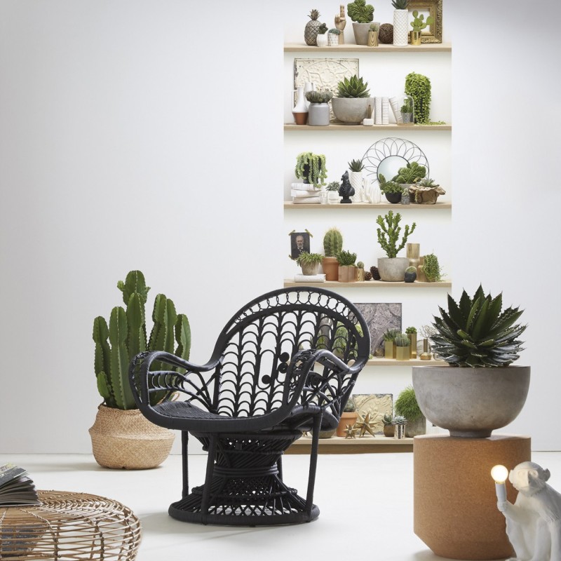 8888-850 | Cactus Shelves Single Strip 