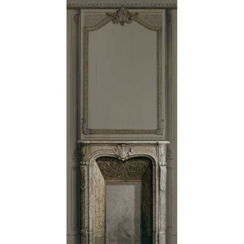 7931-29P | Warm grey fireplace and Haussmann panelling 133cm