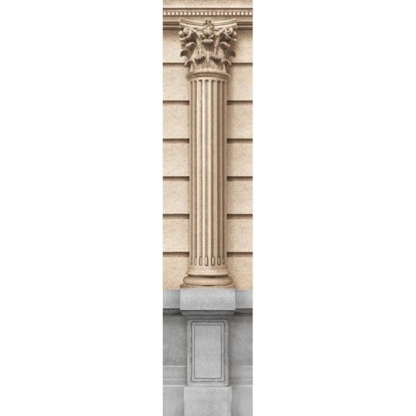 7960-53P | Fluted column of haussmannian facade