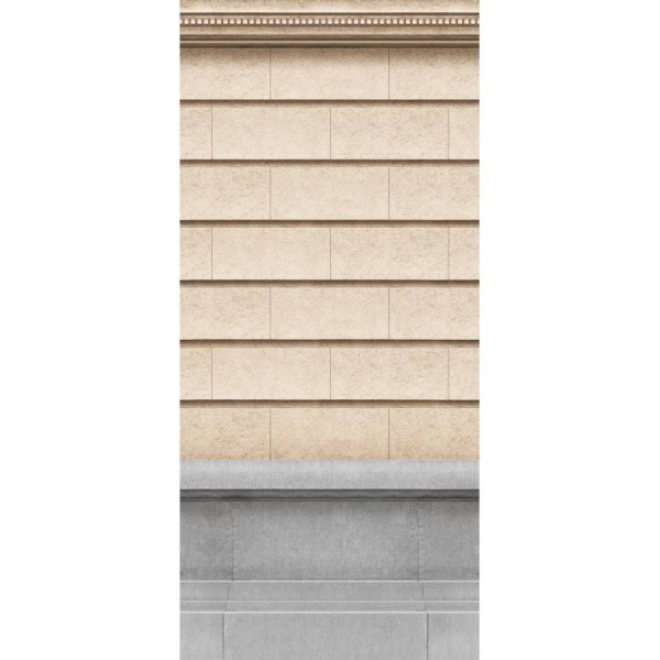 7960-55P | Large wall of haussmannian facade 133cm