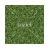 KOZIEL | Panoramic green wall murals | LPV001