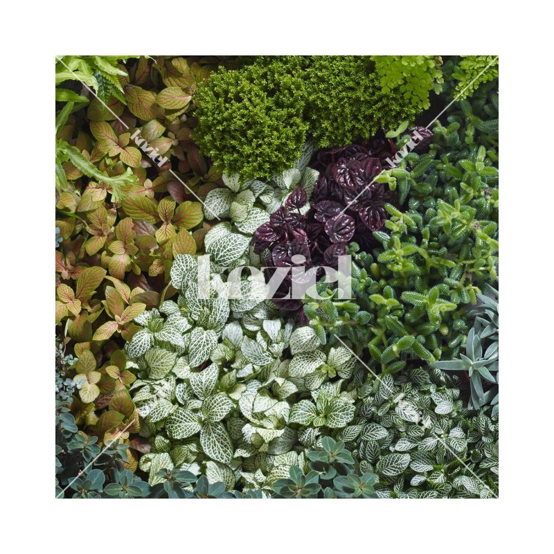 KOZIEL | Wide panoramic mix green wall mural - Natural | LPV025-X