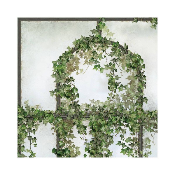 LPV057CL-X | Panoramic wallpaper black royal greenhouse covered with ivy