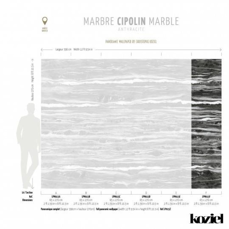 LPM015-X | Anthracite Cipolin marble panoramic wall mural