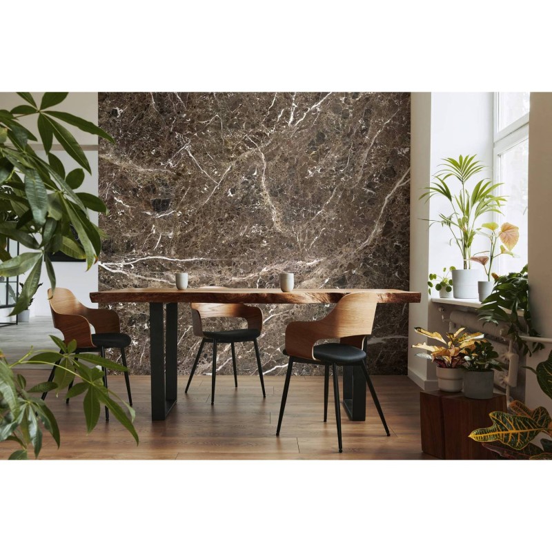 LPM018-X | Brown Emperador marble panoramic wall mural