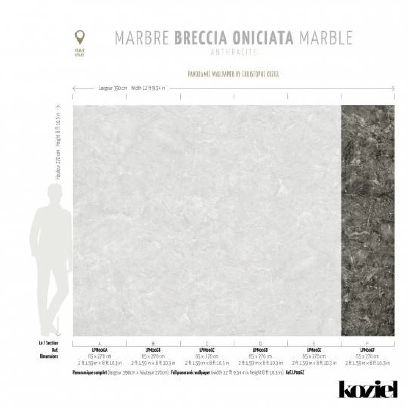 LPM006-X | Anthracite Breccia Oniciata 