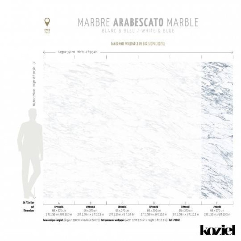 LPM008-X | White & Blue Arabescato marble