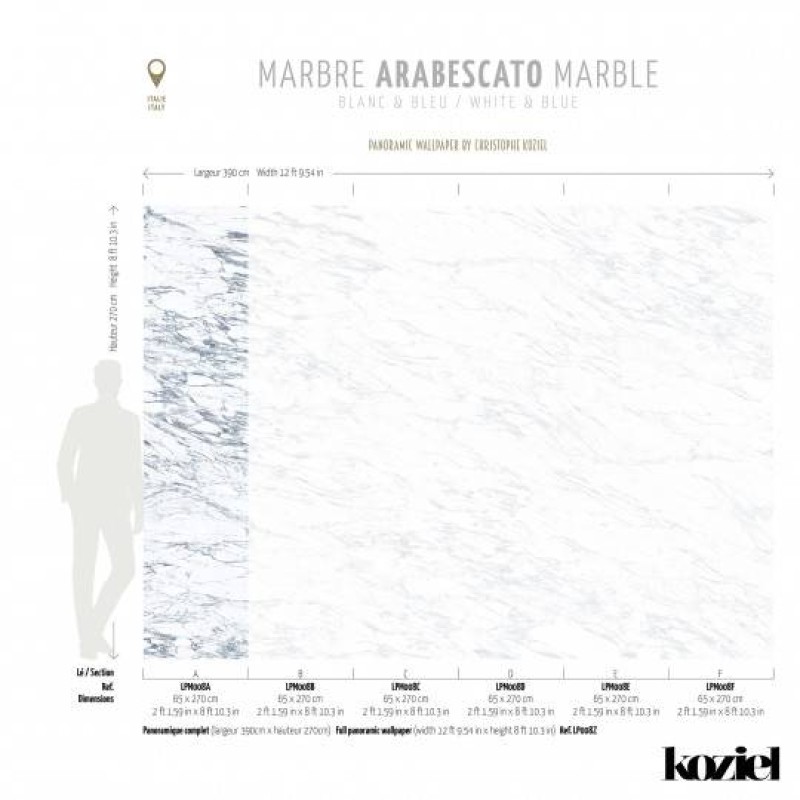 LPM008-X | White & Blue Arabescato marble