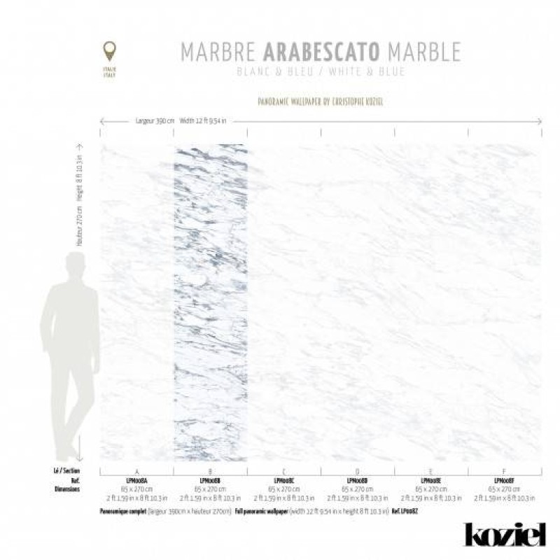 LPM008-X | White & Blue Arabescato marble