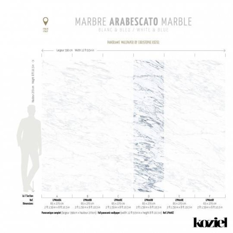 LPM008-X | White & Blue Arabescato marble