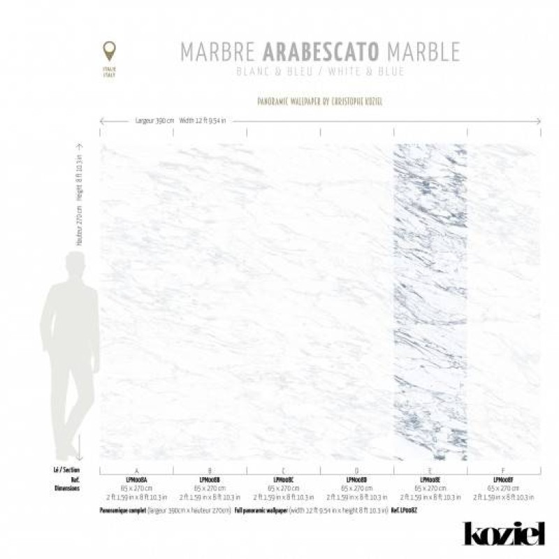 LPM008-X | White & Blue Arabescato marble