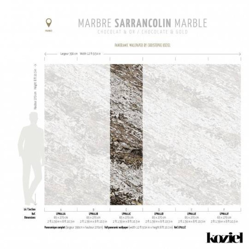 LPM012-X | Chocolate & Copper Sarrancolin marble