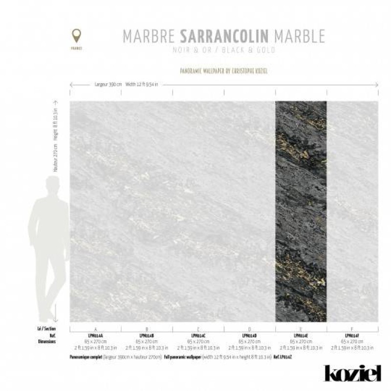 LPM014-X | Black & Gold Sarrancolin marble 