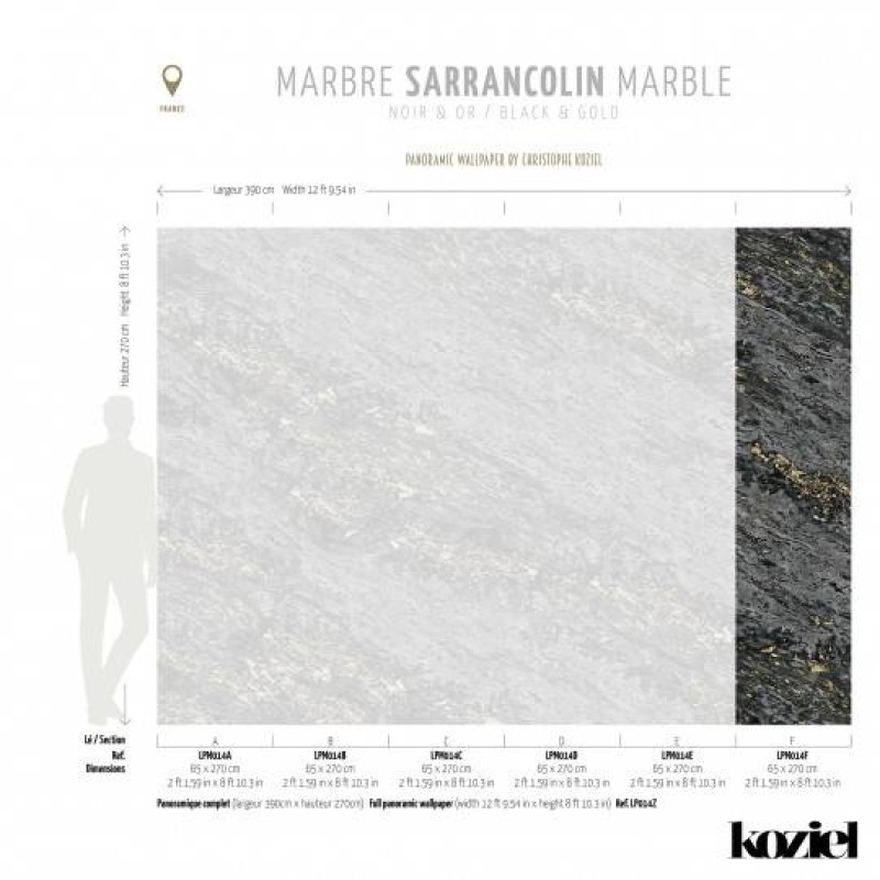 LPM014-X | Black & Gold Sarrancolin marble 